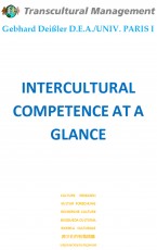 INTERCULTURAL COMPETENCE AT A GLANCE